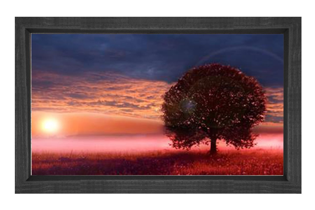 Kırmızı Çiçekler Ağaç Günbatımı Tablosu Siyah Ahşap - 70x100