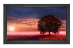 Kırmızı Çiçekler Ağaç Günbatımı Tablosu Siyah Ahşap - 70x100