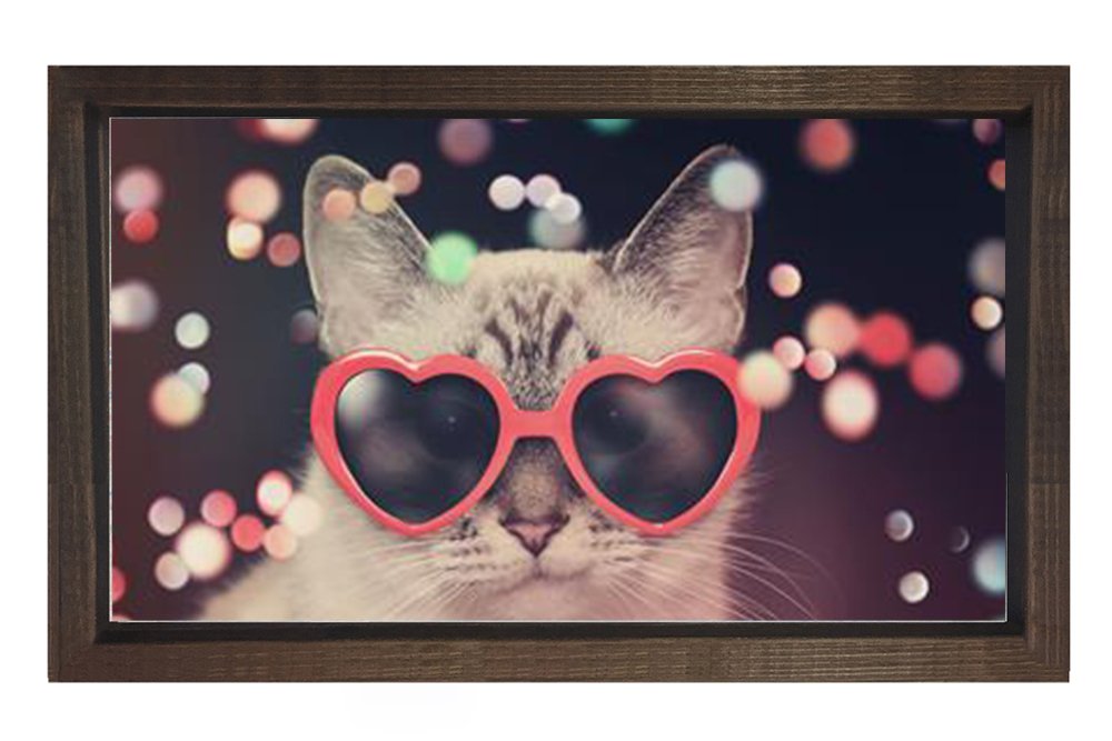 Kedi Tablosu Kahverengi Ahşap Çerçeve - 50x70