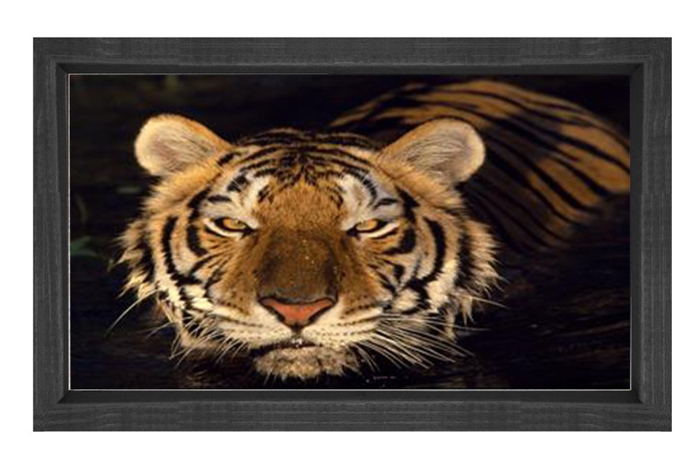Kaplan Tablosu Siyah Ahşap Çerçeve - 45x30