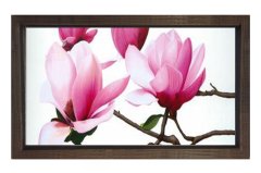 Pembe Menekşe Çiçekleri Tablosu Kahverengi Ahşap - 70x100