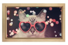 Kedi Tablosu Naturel Ahşap Çerçeve - 100x150