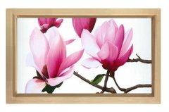 Pembe Menekşe Çiçekleri Tablosu Naturel Ahşap - 100x200