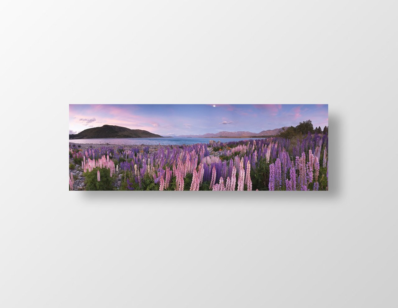 Mor Çiçekler Ve Su Kıyısı Tablosu Çerçevesiz - 180x60