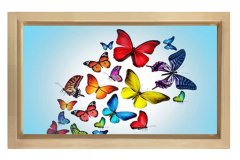 Renkli Kelebekler Tablosu Naturel Ahşap - 40x60