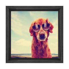 Köpek Tablosu Siyah Ahşap Çerçeve - 80x80