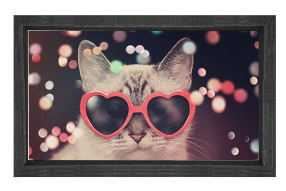 Kedi Tablosu Siyah Ahşap Çerçeve - 100x150