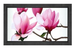 Pembe Menekşe Çiçekleri Tablosu Siyah Ahşap - 100x200