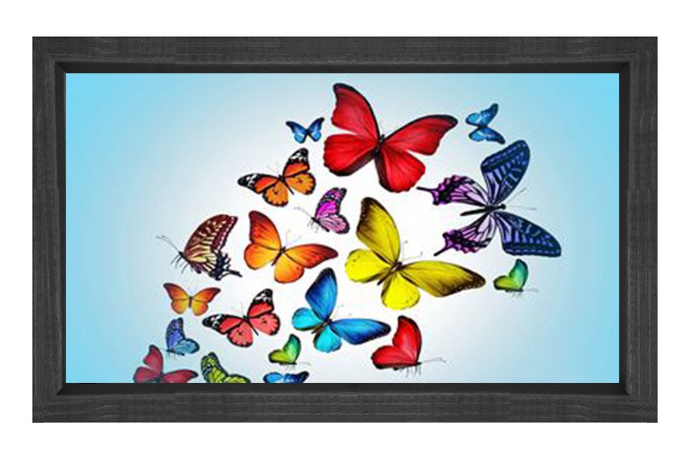 Renkli Kelebekler Tablosu Siyah Ahşap - 40x60