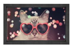 Kedi Tablosu Siyah Ahşap Çerçeve - 50x90