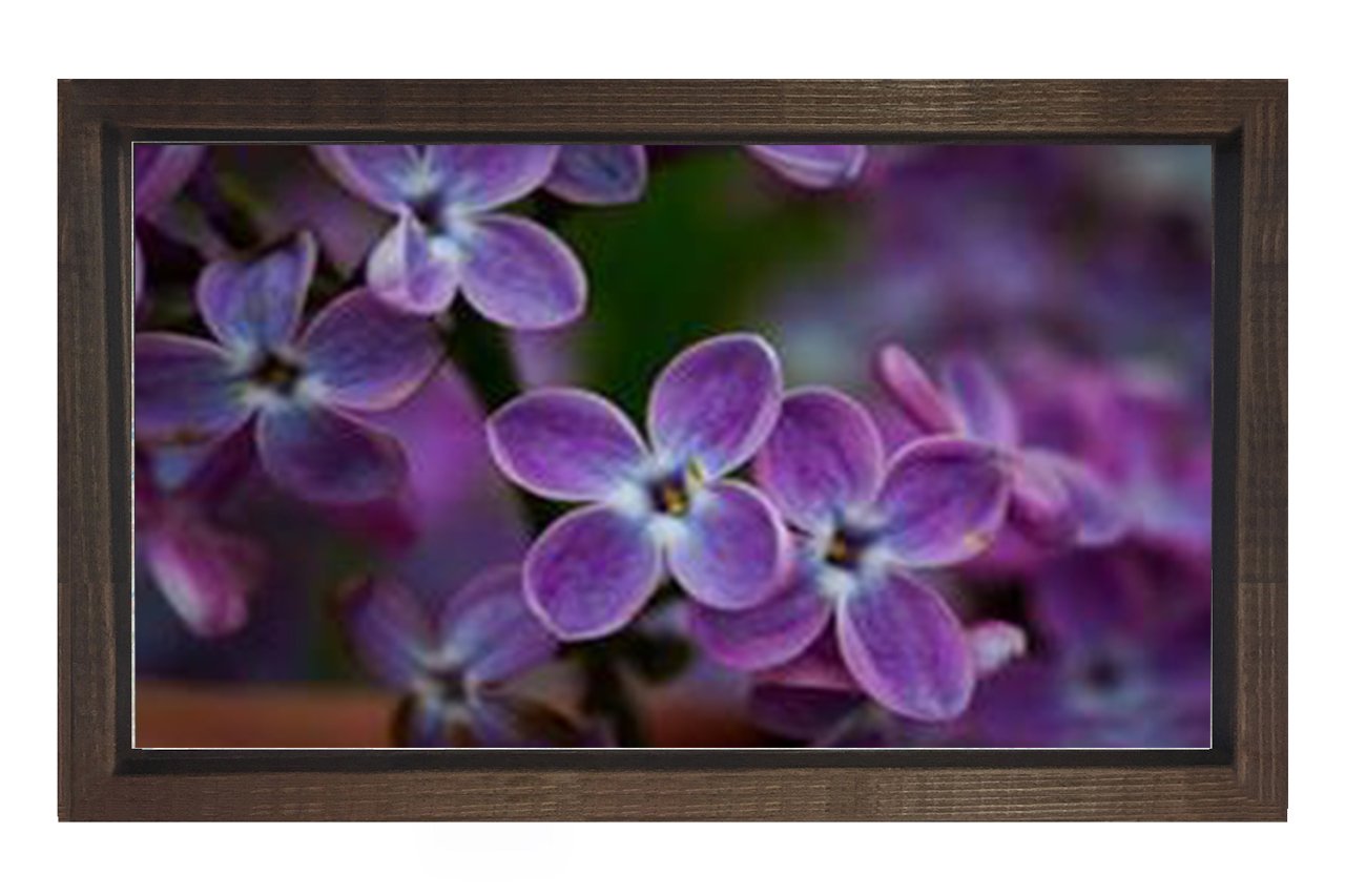 Mor Menekşe Çiçekleri Tablosu Kahverengi Ahşap - 100x150
