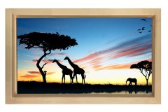 Zürafalar Tablosu Naturel Ahşap Çerçeve - 50x90