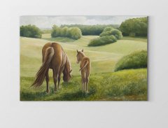 Orman Ve At Manzarası Tablosu Çerçevesiz - 50x90