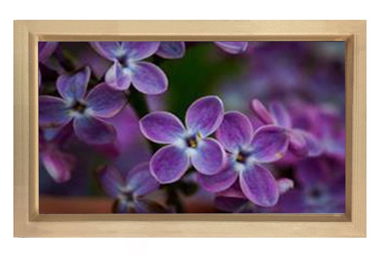 Mor Menekşe Çiçekleri Tablosu Naturel Ahşap - 100x200