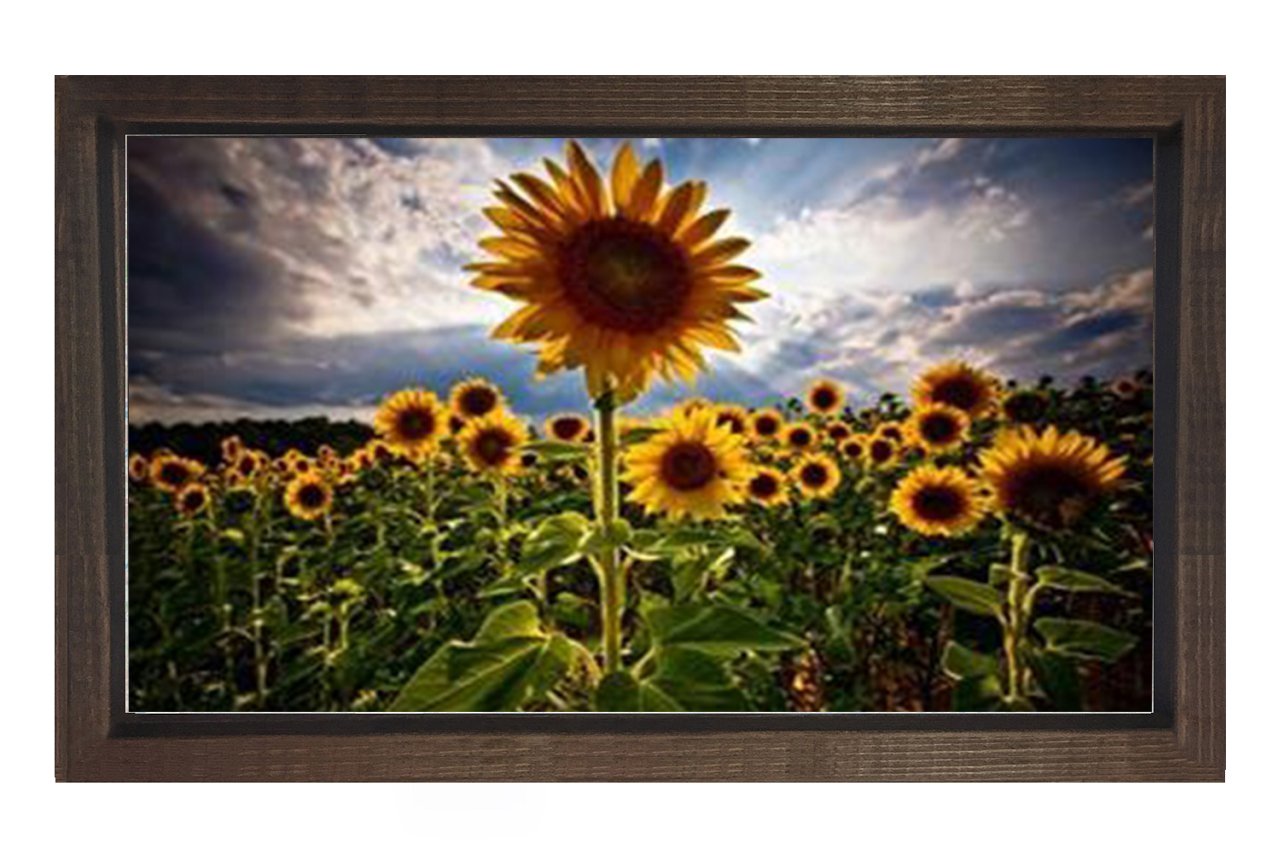 Ayçiçeği Tarlası Tablosu Kahverengi Ahşap Çerçeve - 50x70