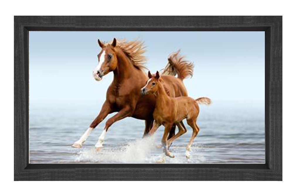 Denizde Koşan At ve Yavrusu Tablosu Siyah Ahşap Çerçeve - 50x90