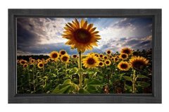 Ayçiçeği Tarlası Tablosu Siyah Ahşap Çerçeve - 45x30