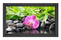 Pembe Menekşe Çiçek Tablosu Siyah Ahşap - 50x90