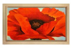 Gelincik Çiçek Tablosu Naturel Ahşap Çerçeve - 100x150
