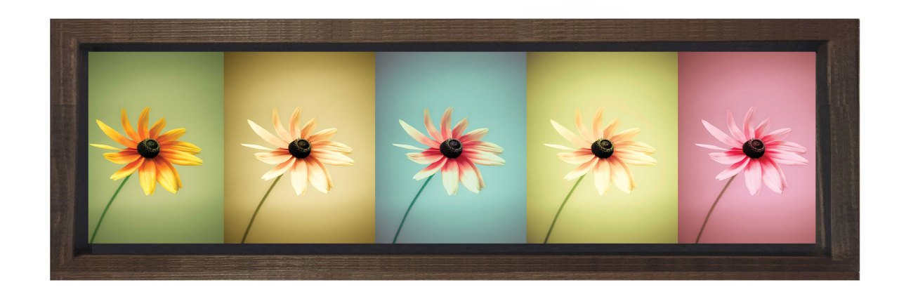  Çiçekler Tablosu Kahverengi Ahşap Çerçeve - 120x40