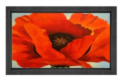 Gelincik Çiçek Tablosu Siyah Ahşap Çerçeve - 50x70
