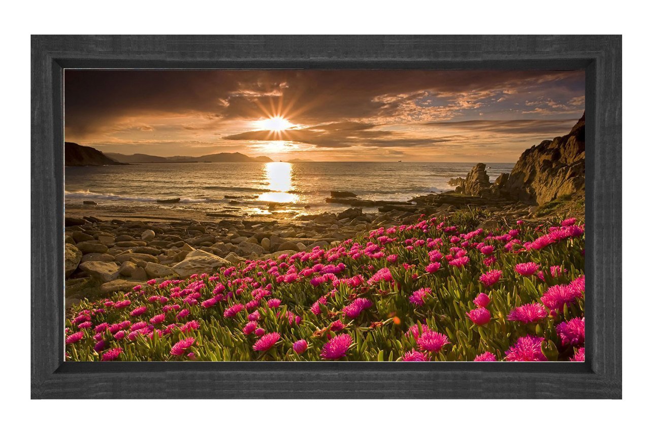 Kırmızı Çiçekler Günbatımı Tablosu Siyah Ahşap - 50x90