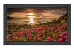Kırmızı Çiçekler Günbatımı Tablosu Siyah Ahşap - 50x90