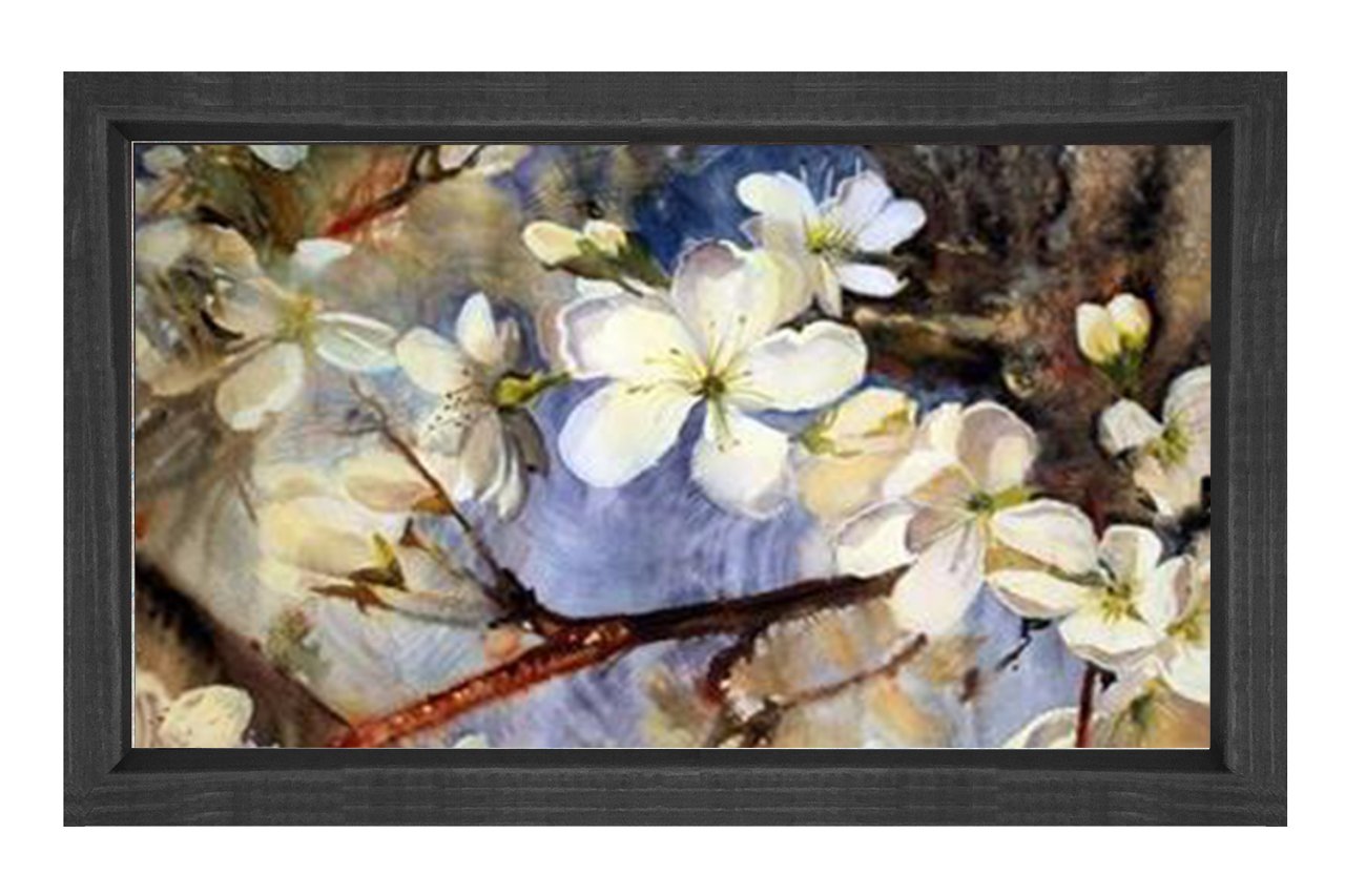 Beyaz Menekşe Çiçekleri Tablosu Siyah Ahşap - 50x90
