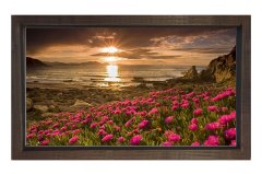 Kırmızı Çiçekler Günbatımı Tablosu Kahverengi Ahşap - 40x60