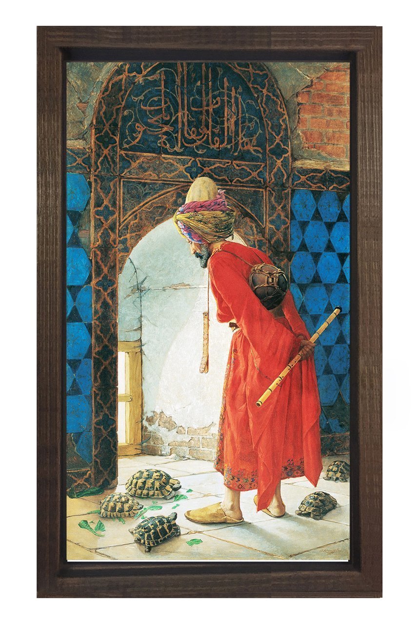 Kaplumbağa Terbiyecisi Tablosu Kahverengi Ahşap Çerçeve - 45x30