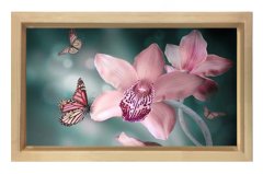 Pembe Menekşe Çiçekleri Tablosu Naturel Ahşap - 50x70