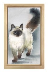 Siyam Kedisi Tablosu Naturel Ahşap Çerçeve - 50x90