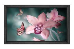 Pembe Menekşe Çiçekleri Tablosu Siyah Ahşap - 100x150
