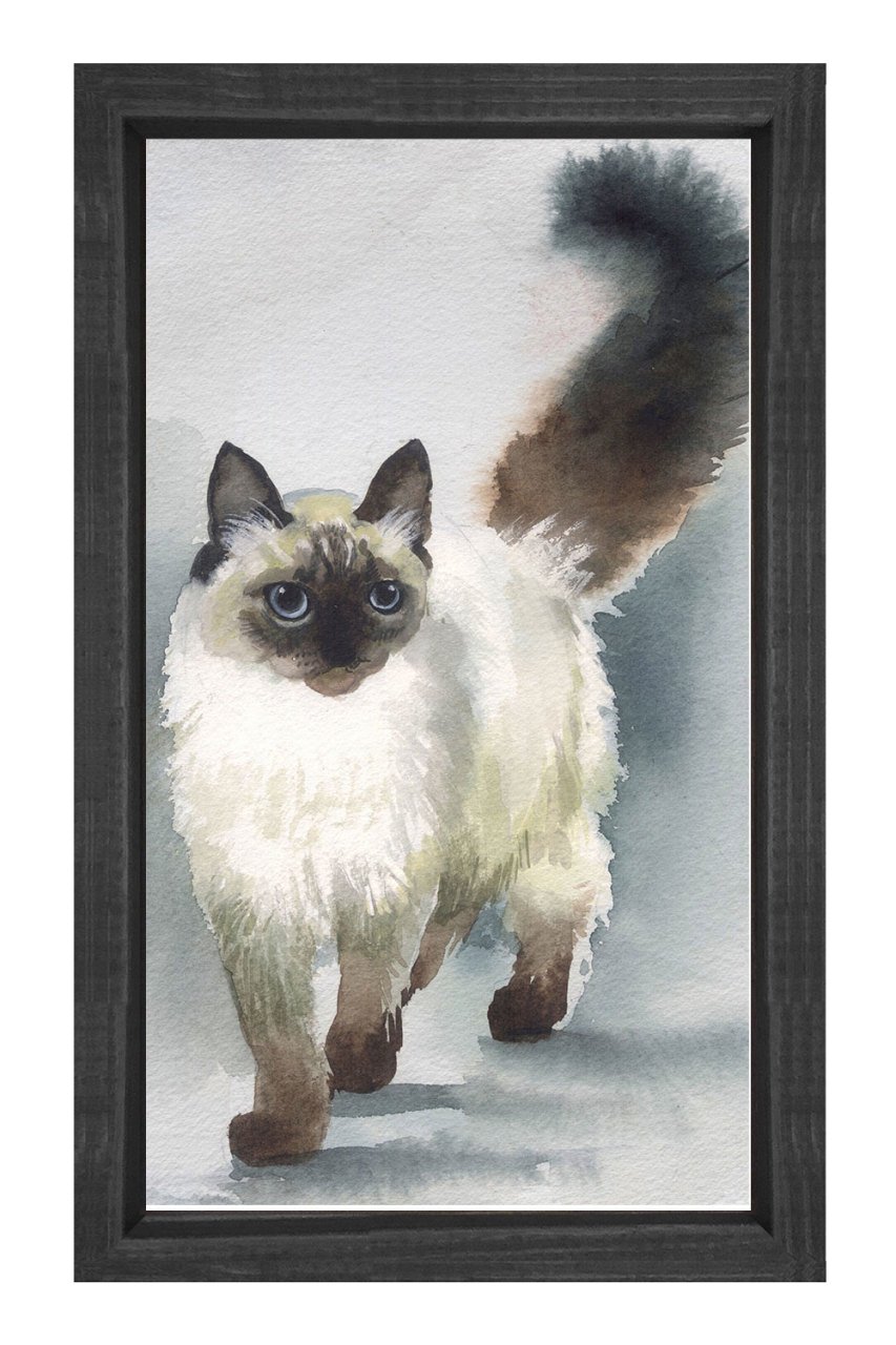 Siyam Kedisi Tablosu Siyah Ahşap Çerçeve - 100x150