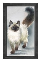 Siyam Kedisi Tablosu Siyah Ahşap Çerçeve - 45x30