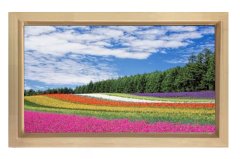 Çiçek Tarlası Gökyüzü Manzarası Tablosu Naturel Ahşap - 70x100