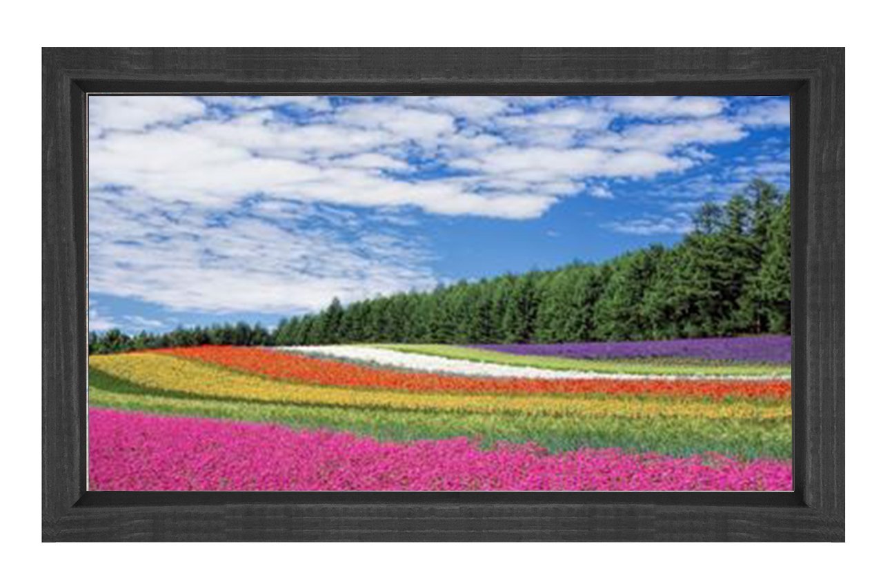 Çiçek Tarlası Gökyüzü Manzarası Tablosu Siyah Ahşap - 45x30