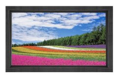 Çiçek Tarlası Gökyüzü Manzarası Tablosu Siyah Ahşap - 45x30