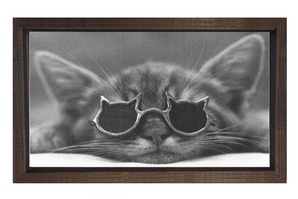 Sevimli Kedi Gözlükle Tablosu Kahverengi Ahşap Çerçeve - 40x60