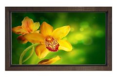 Sarı Menekşe Çiçekleri Tablosu Kahverengi Ahşap - 50x90