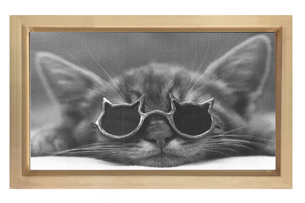Sevimli Kedi Gözlükle Tablosu Naturel Ahşap Çerçeve - 100x200