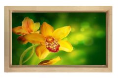 Sarı Menekşe Çiçekleri Tablosu Naturel Ahşap - 45x30