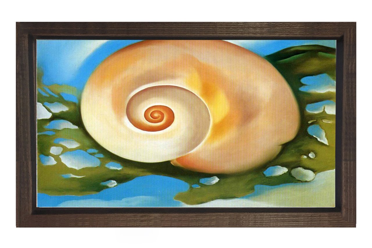 Kabuk Tablosu Kahverengi Ahşap Çerçeve - 100x200