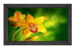 Sarı Menekşe Çiçekleri Tablosu Siyah Ahşap - 100x150