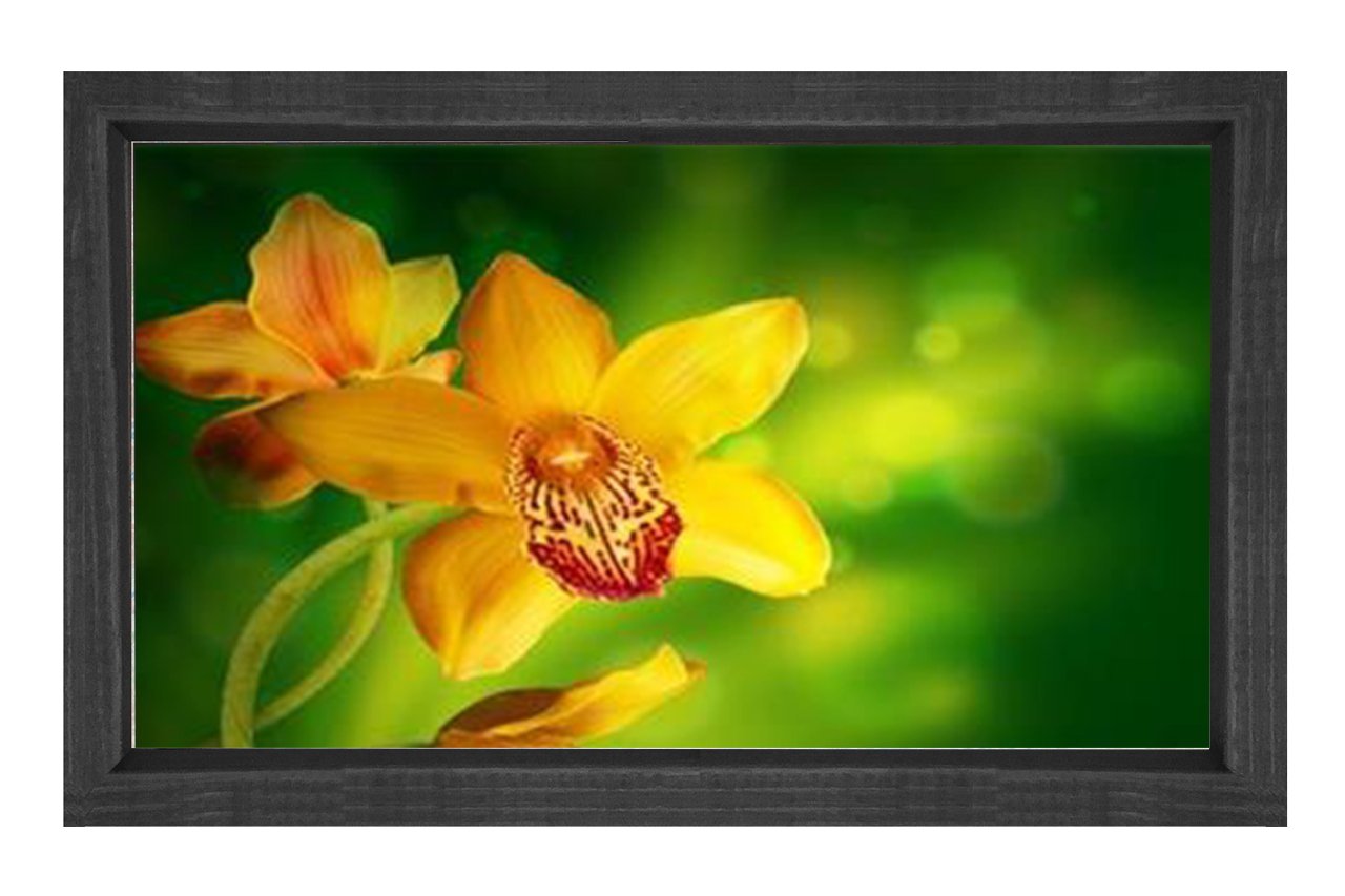 Sarı Menekşe Çiçekleri Tablosu Siyah Ahşap - 45x30