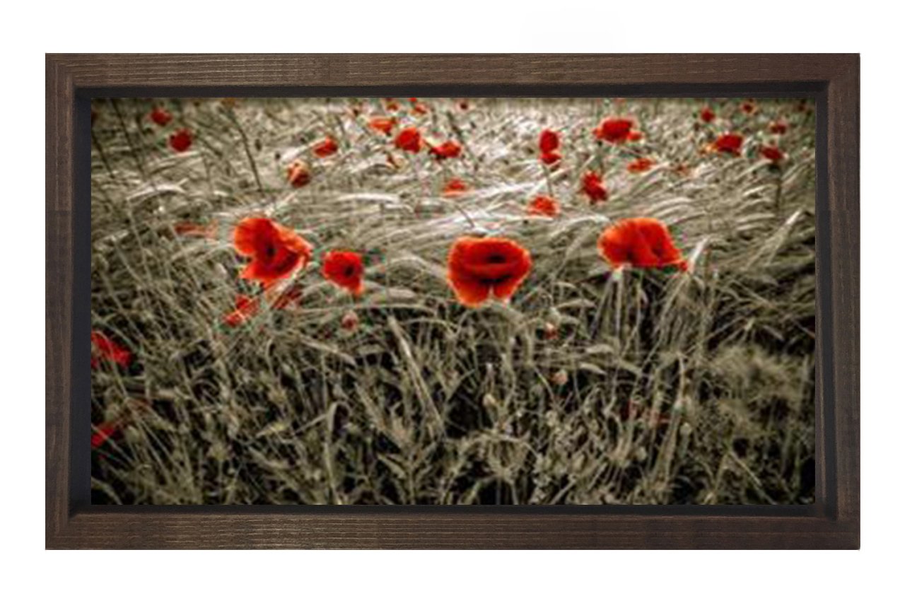 Gelincik Çiçekleri Tarlası Tablosu Kahverengi Ahşap Çerçeve - 50x70