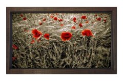 Gelincik Çiçekleri Tarlası Tablosu Kahverengi Ahşap Çerçeve - 50x90