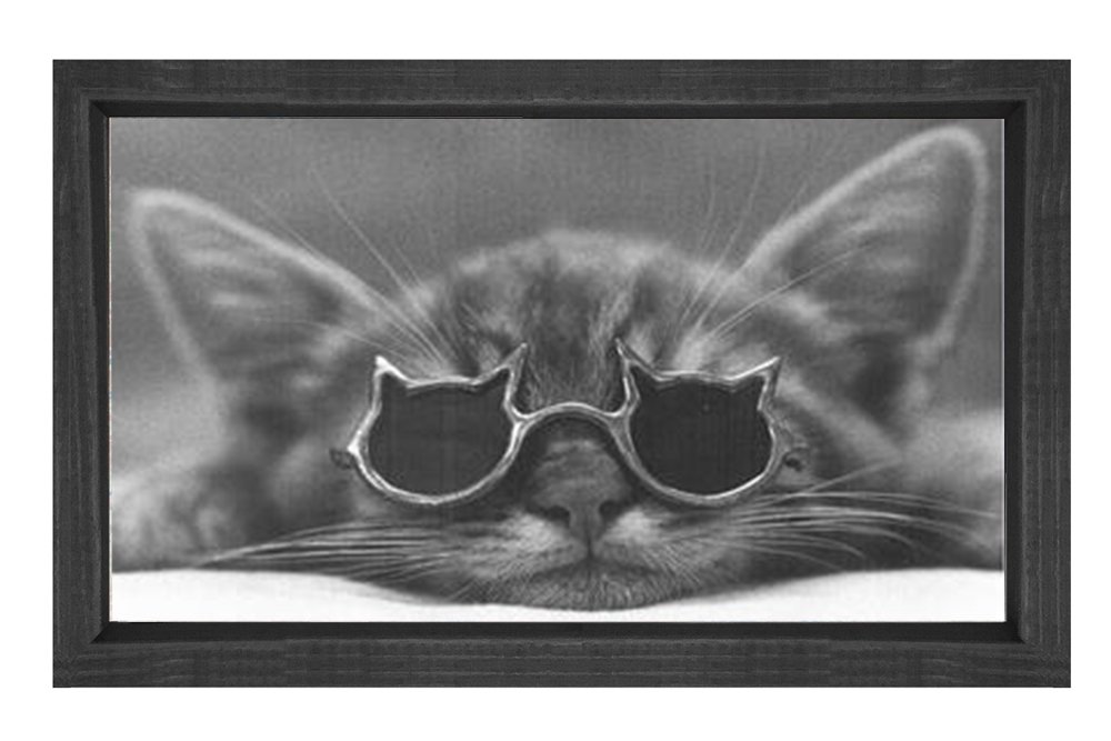 Sevimli Kedi Gözlükle Tablosu Siyah Ahşap Çerçeve - 50x70