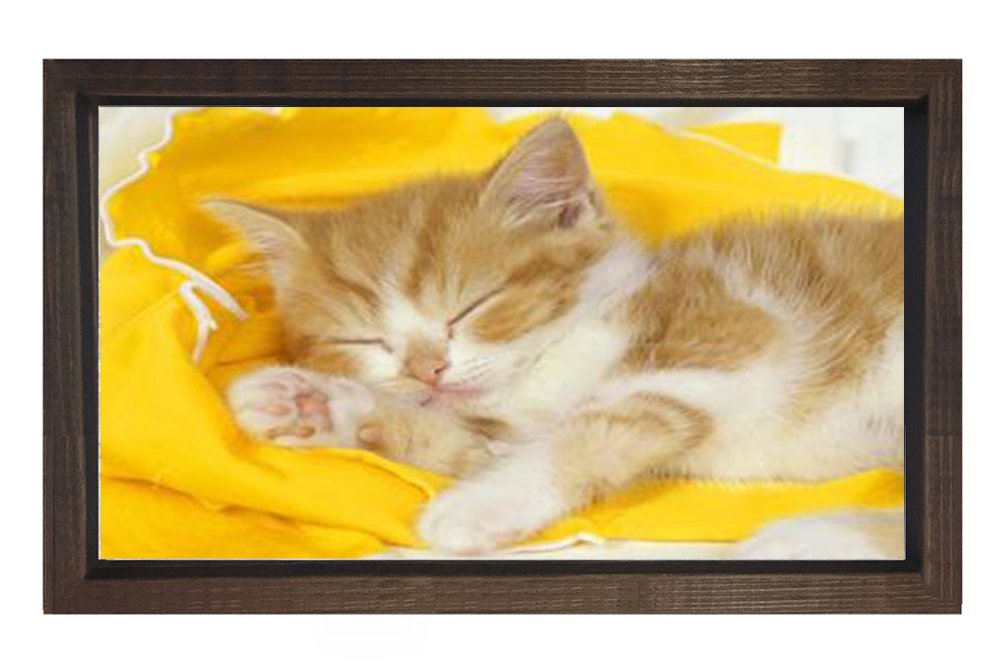 Kedi Tablosu Kahverengi Ahşap Çerçeve - 100x150