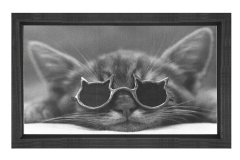 Sevimli Kedi Gözlükle Tablosu Siyah Ahşap Çerçeve - 70x100